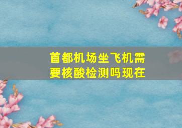 首都机场坐飞机需要核酸检测吗现在