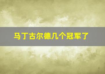 马丁古尔德几个冠军了