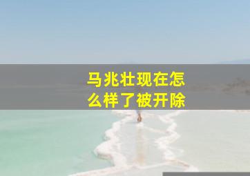 马兆壮现在怎么样了被开除