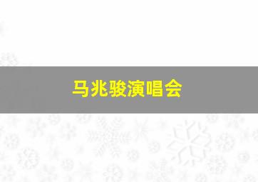 马兆骏演唱会