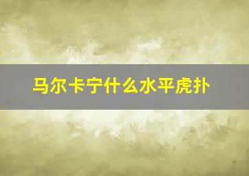 马尔卡宁什么水平虎扑