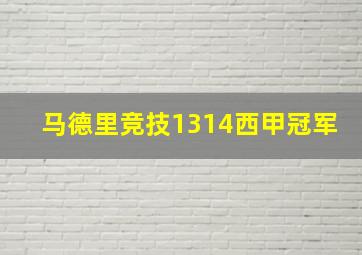 马德里竞技1314西甲冠军