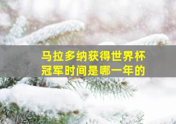 马拉多纳获得世界杯冠军时间是哪一年的