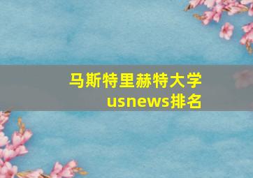 马斯特里赫特大学usnews排名