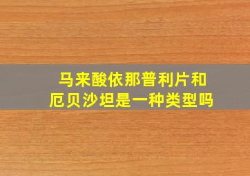 马来酸依那普利片和厄贝沙坦是一种类型吗