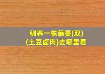 驯养一株藤蔓(双)(土豆卤肉)去哪里看