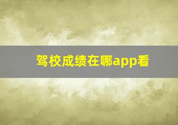 驾校成绩在哪app看