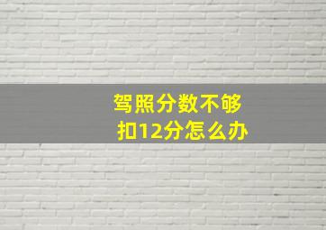 驾照分数不够扣12分怎么办