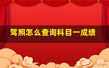 驾照怎么查询科目一成绩