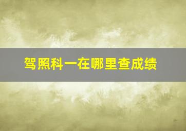 驾照科一在哪里查成绩