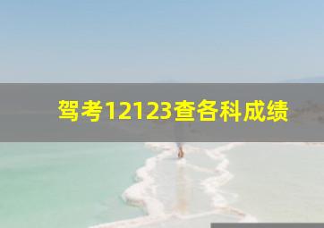 驾考12123查各科成绩