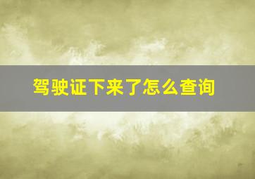 驾驶证下来了怎么查询