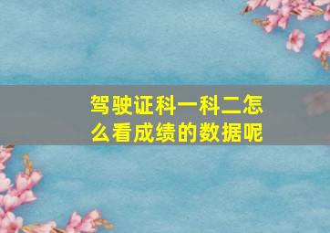 驾驶证科一科二怎么看成绩的数据呢