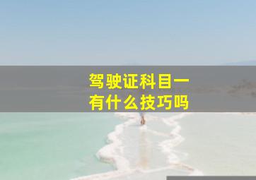 驾驶证科目一有什么技巧吗