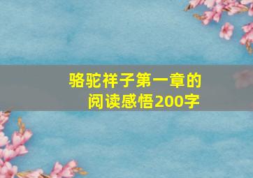 骆驼祥子第一章的阅读感悟200字