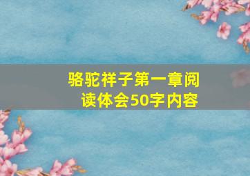 骆驼祥子第一章阅读体会50字内容