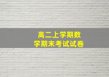 高二上学期数学期末考试试卷