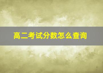 高二考试分数怎么查询