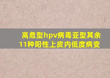 高危型hpv病毒亚型其余11种阳性上皮内低度病变