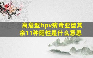 高危型hpv病毒亚型其余11种阳性是什么意思