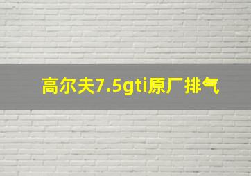 高尔夫7.5gti原厂排气