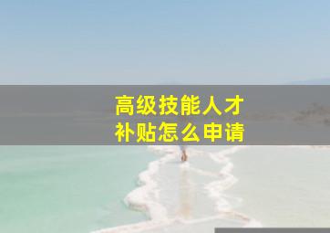 高级技能人才补贴怎么申请