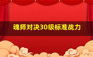 魂师对决30级标准战力