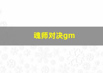 魂师对决gm