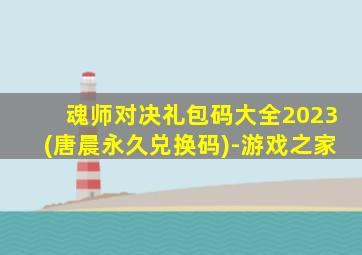 魂师对决礼包码大全2023(唐晨永久兑换码)-游戏之家