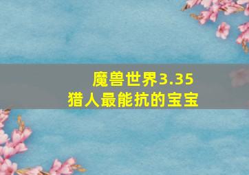 魔兽世界3.35猎人最能抗的宝宝