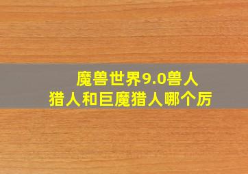 魔兽世界9.0兽人猎人和巨魔猎人哪个厉