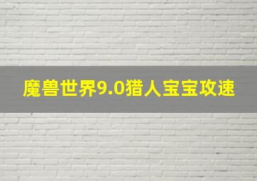 魔兽世界9.0猎人宝宝攻速