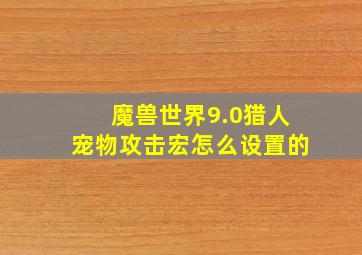 魔兽世界9.0猎人宠物攻击宏怎么设置的