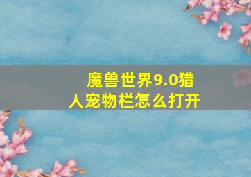 魔兽世界9.0猎人宠物栏怎么打开