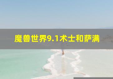 魔兽世界9.1术士和萨满