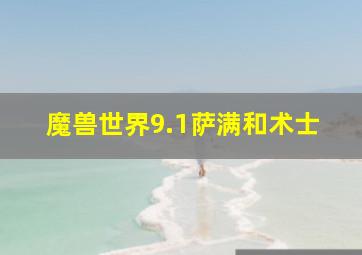 魔兽世界9.1萨满和术士