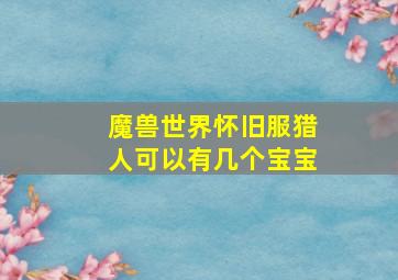 魔兽世界怀旧服猎人可以有几个宝宝