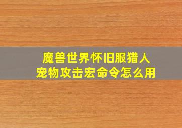 魔兽世界怀旧服猎人宠物攻击宏命令怎么用