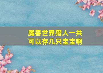 魔兽世界猎人一共可以存几只宝宝啊