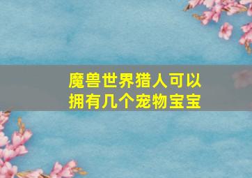 魔兽世界猎人可以拥有几个宠物宝宝