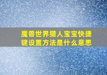 魔兽世界猎人宝宝快捷键设置方法是什么意思