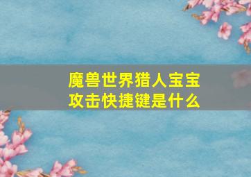 魔兽世界猎人宝宝攻击快捷键是什么