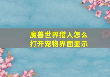 魔兽世界猎人怎么打开宠物界面显示