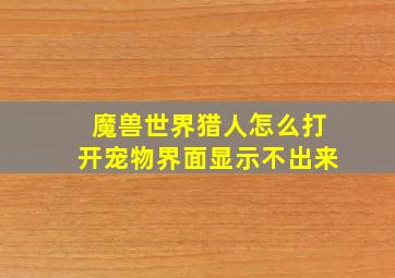 魔兽世界猎人怎么打开宠物界面显示不出来