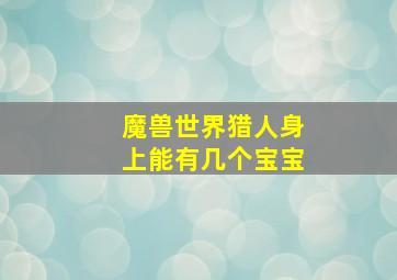 魔兽世界猎人身上能有几个宝宝