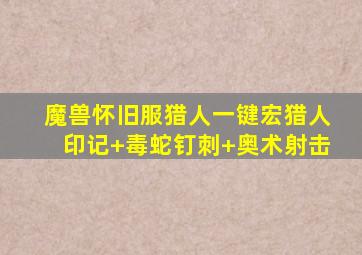 魔兽怀旧服猎人一键宏猎人印记+毒蛇钉刺+奥术射击