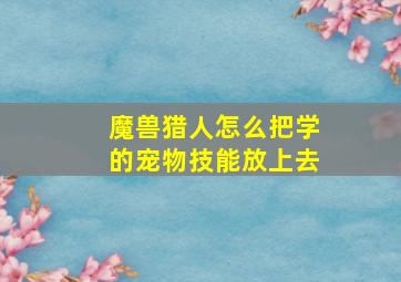 魔兽猎人怎么把学的宠物技能放上去