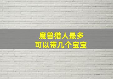 魔兽猎人最多可以带几个宝宝