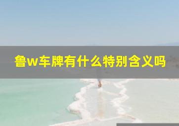 鲁w车牌有什么特别含义吗