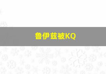 鲁伊兹被KQ